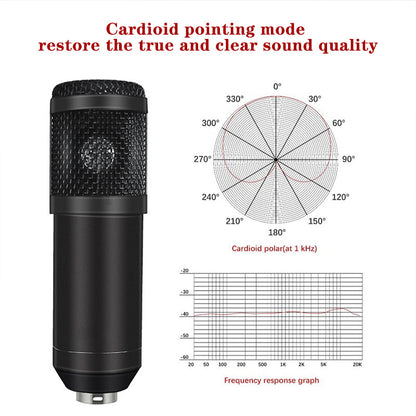 Aluminum Condenser Microphone Sound Card Set | Professional Streaming & Recording Audio Kit for Podcast, Live Broadcast & PC