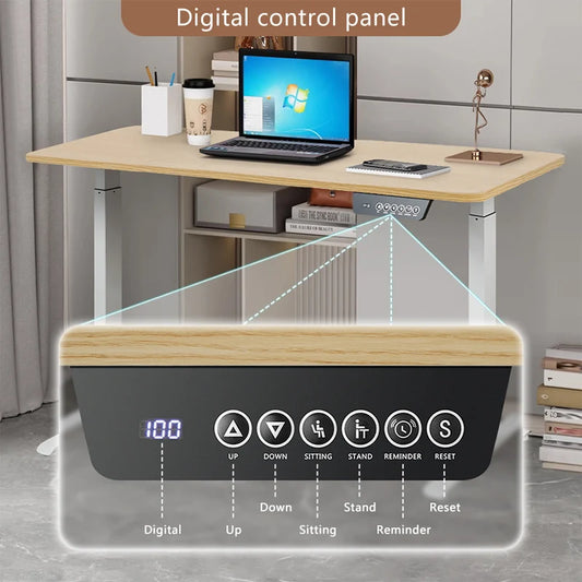 Height Adjustable Electric Desk | Motorized Sit-Stand Desk for Home & Office, Gaming & Workstation