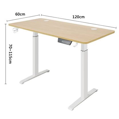 Height Adjustable Electric Desk | Motorized Sit-Stand Desk for Home & Office, Gaming & Workstation